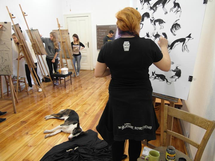 Bydgoszcz rysownia nauki rysunku i malarstwa dla młodzieży licealnej i dorosłych, zajęcia dla hobbystów i osób rozwijających swoje umiejętności