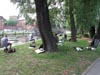 Wakacje 2016 - plener plastyczny dla młodzieży i dorosłych w Bydgoszczy - tajniki perspektywy malarskiej i praca w plenerze.