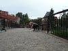 Wakacje 2016 - plener plastyczny dla młodzieży i dorosłych w Bydgoszczy - tajniki perspektywy malarskiej i praca w plenerze.