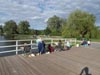 Wakacje 2017 - plener rysunkowo malarski dla dzieci, młodzieży i dorosłych w Bydgoszczy - jak malować i rysować zwięrzęta, ptaki i rośliny w plenerze.