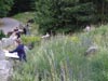 Wakacje 2017 - plener rysunkowo malarski dla dzieci, młodzieży i dorosłych w Bydgoszczy - jak malować i rysować zwięrzęta, ptaki i rośliny w plenerze.
